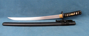 Raptor wakizashi