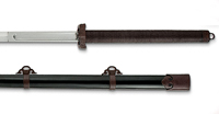 Dragon King taotie jian longsword